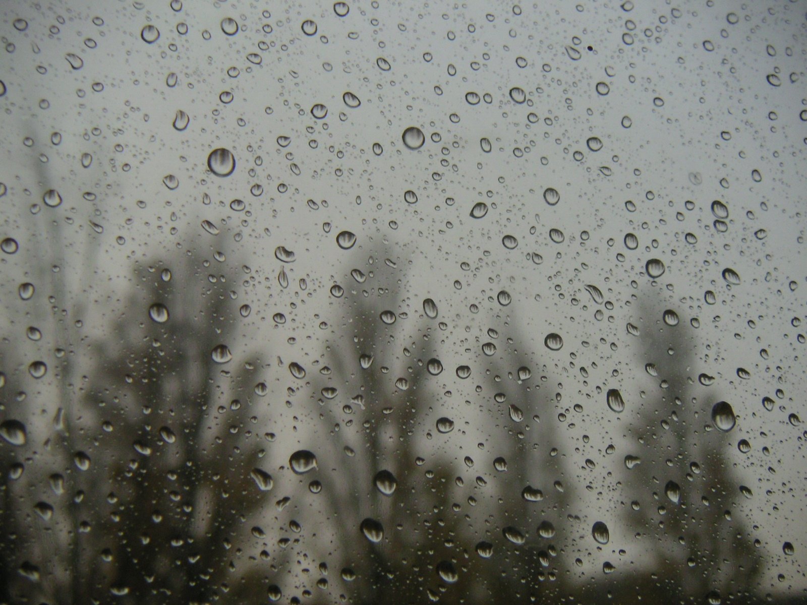 a wet window with water drops on the glass