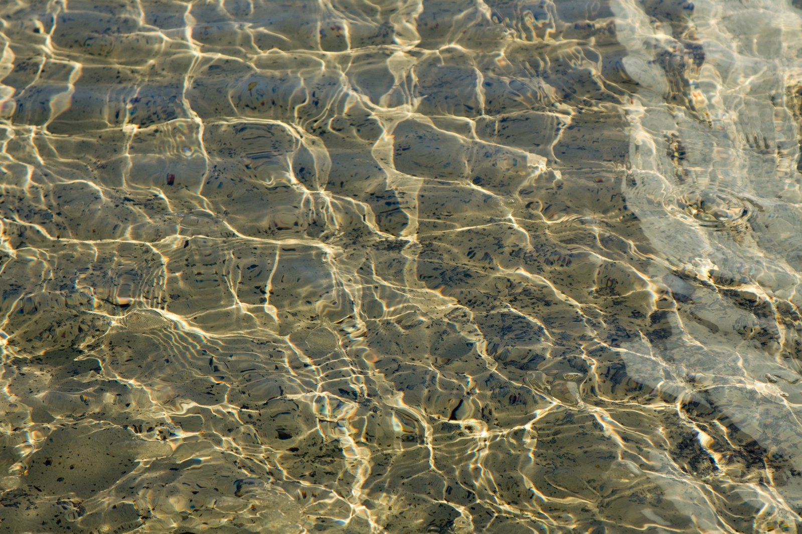 clear water covers the bottom of a shallow pool