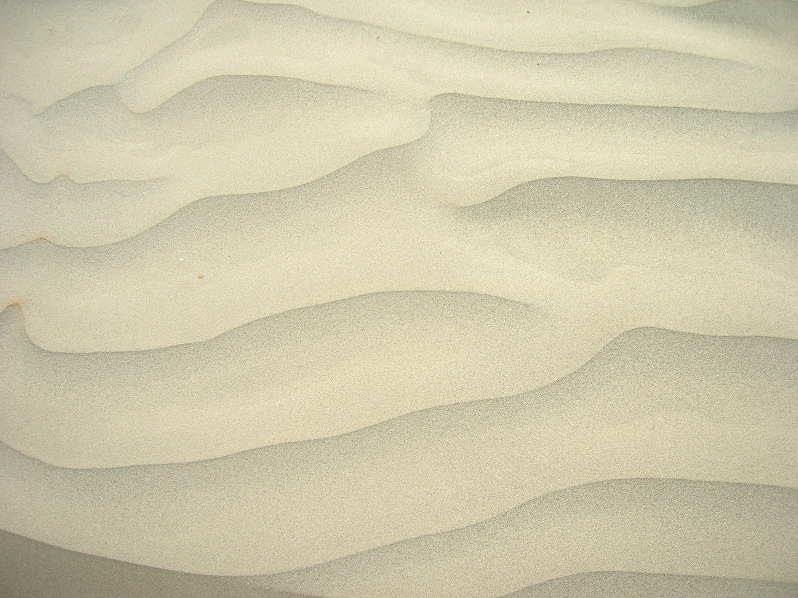 an empty beach with many dunes and water