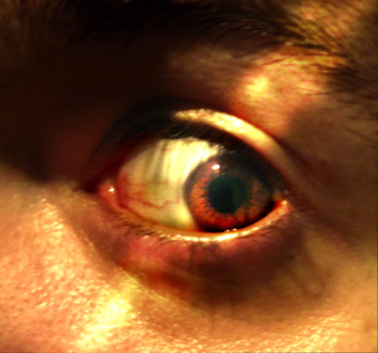 an image of an eye with red and black circles