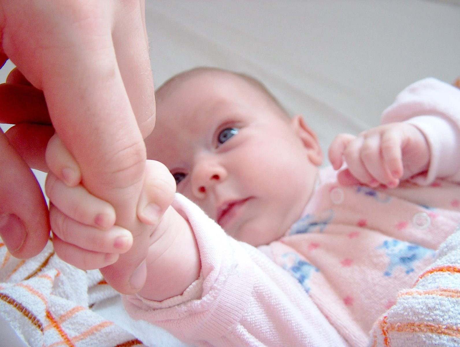 a baby holds the hand of its parent