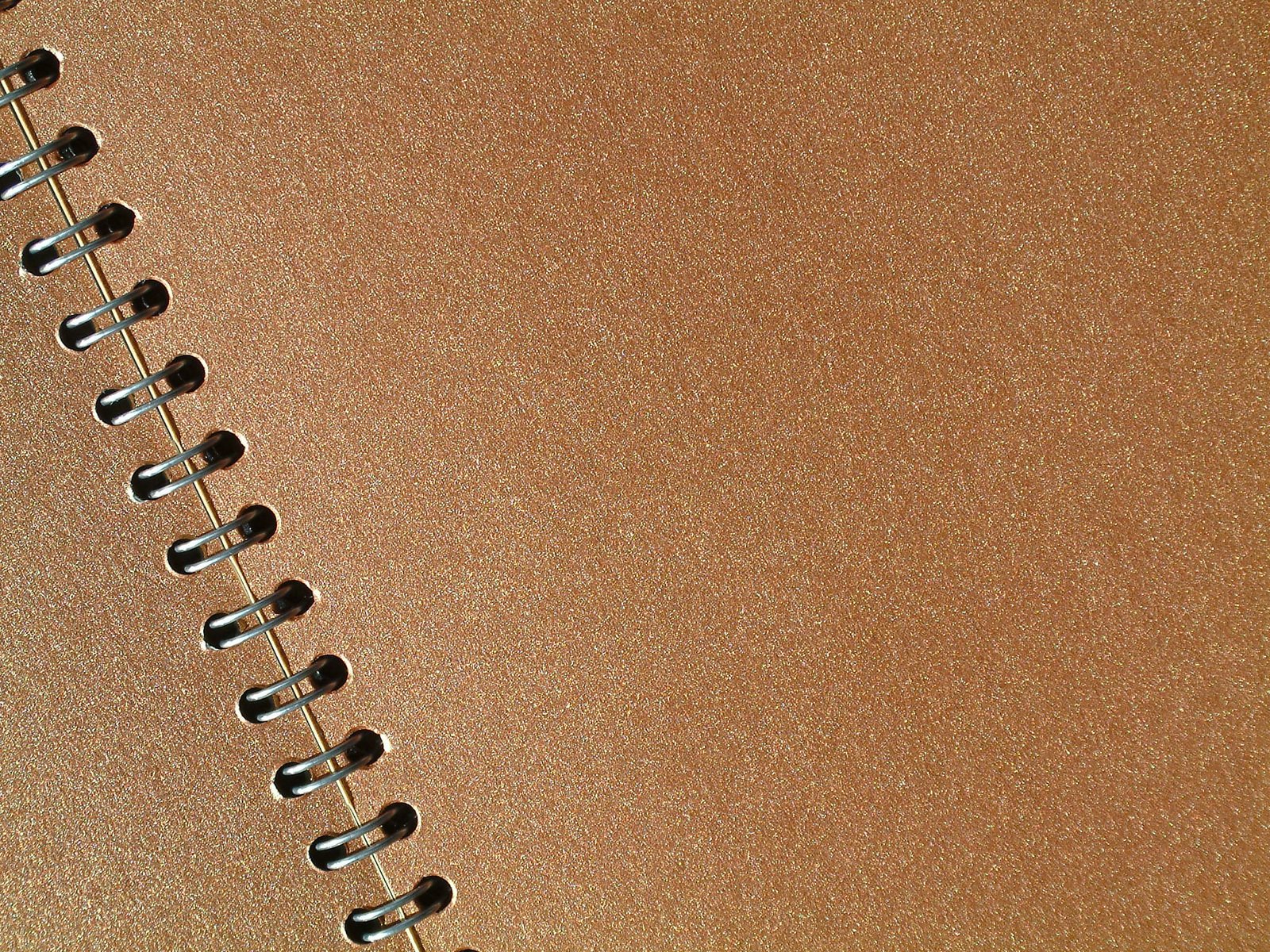 a gold colored notebook with small metal screws