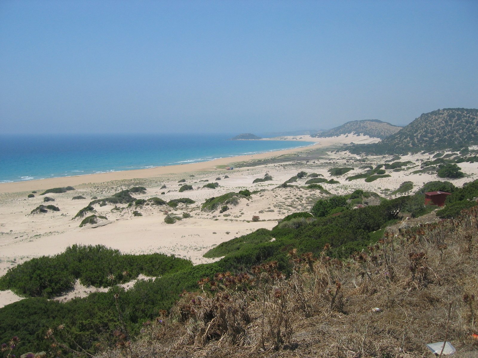 a grassy mountain overlooks the sandy beach on a clear day