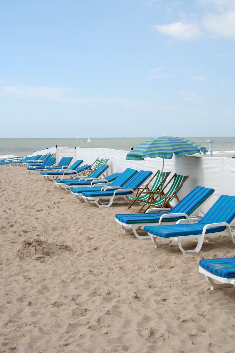 a row of lawn chairs sitting on top of a sandy beach