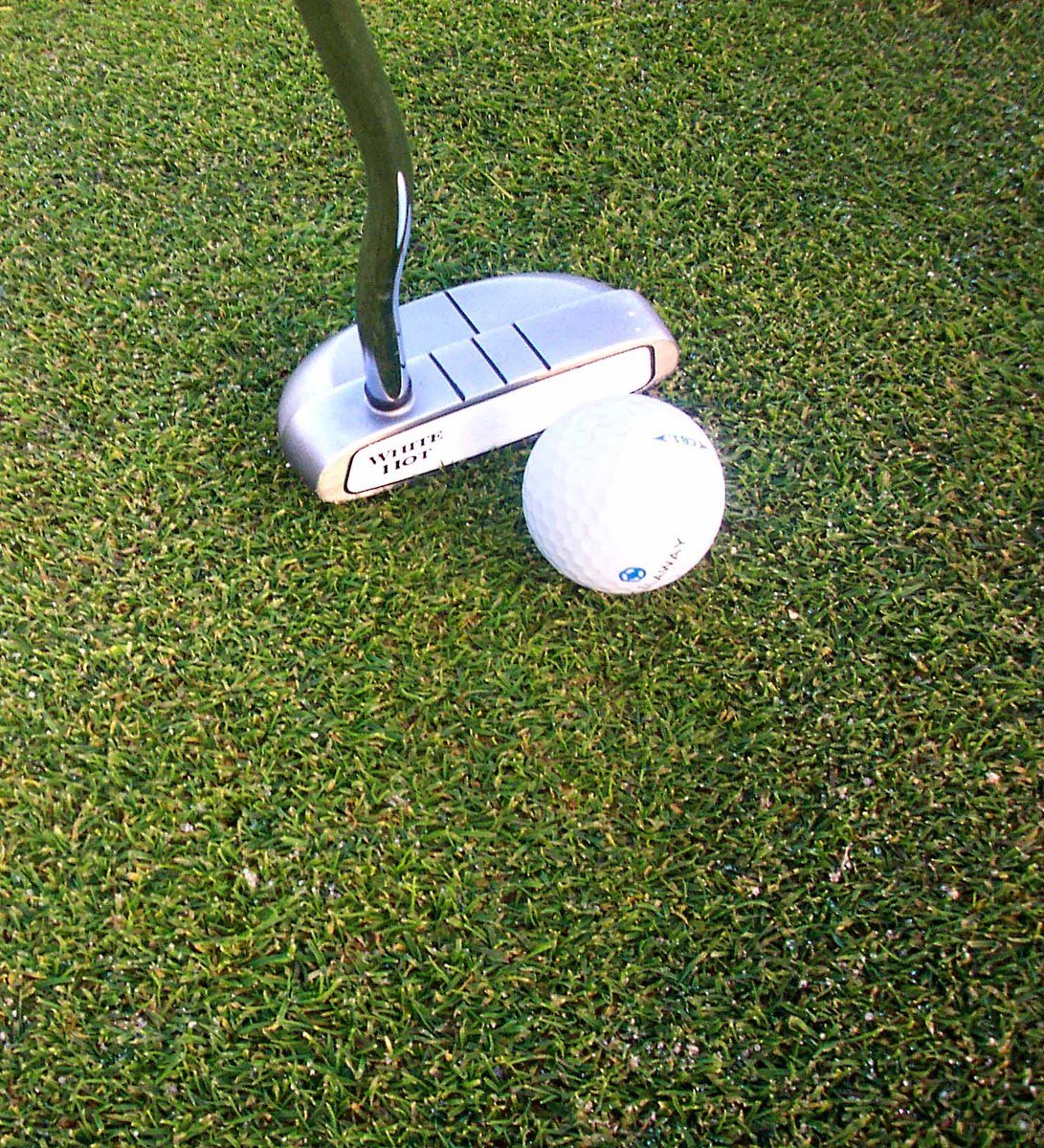 a golf ball sitting next to an iron on a green grass covered field