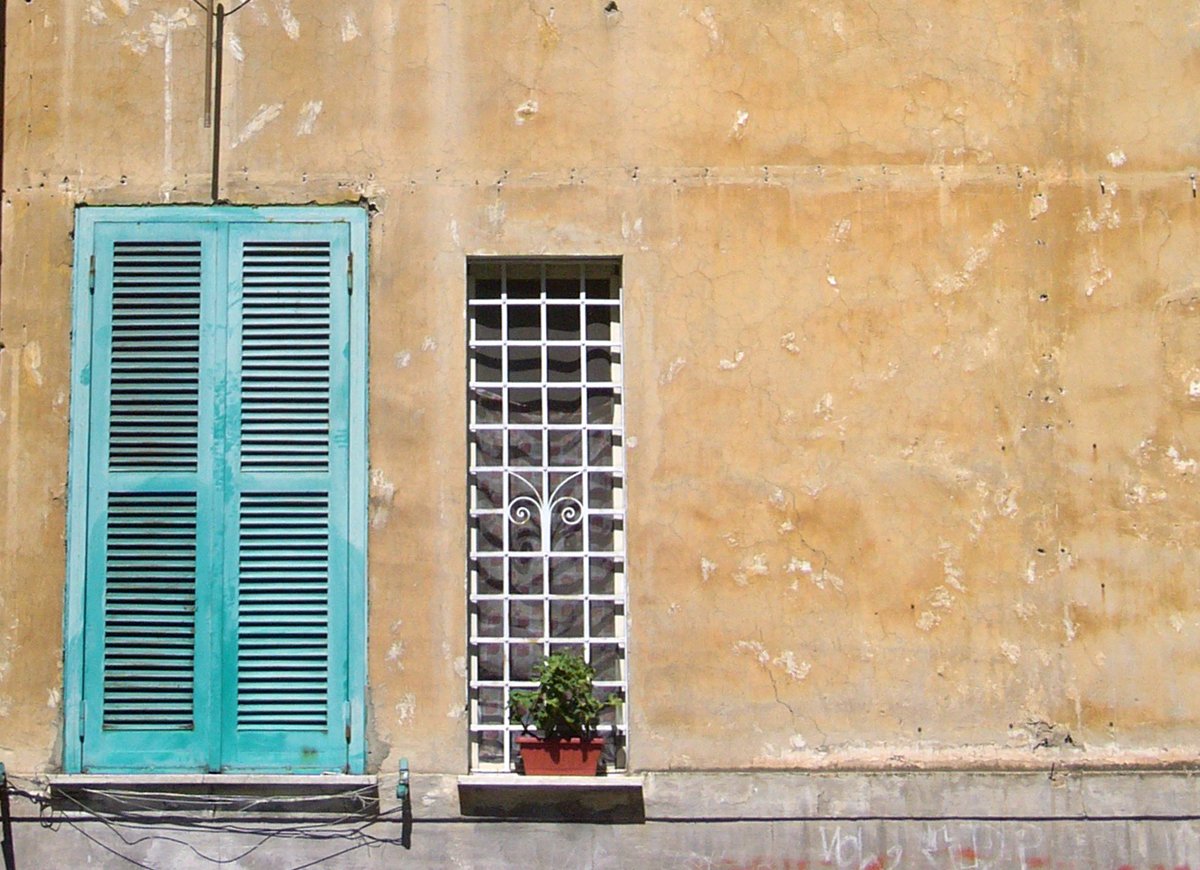 a door and two windows with potted plant in front