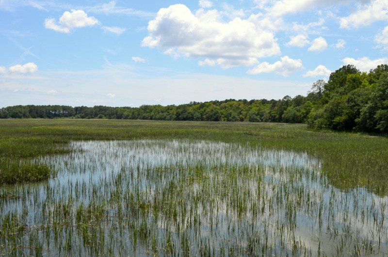 a blue sky with clouds above the marsh