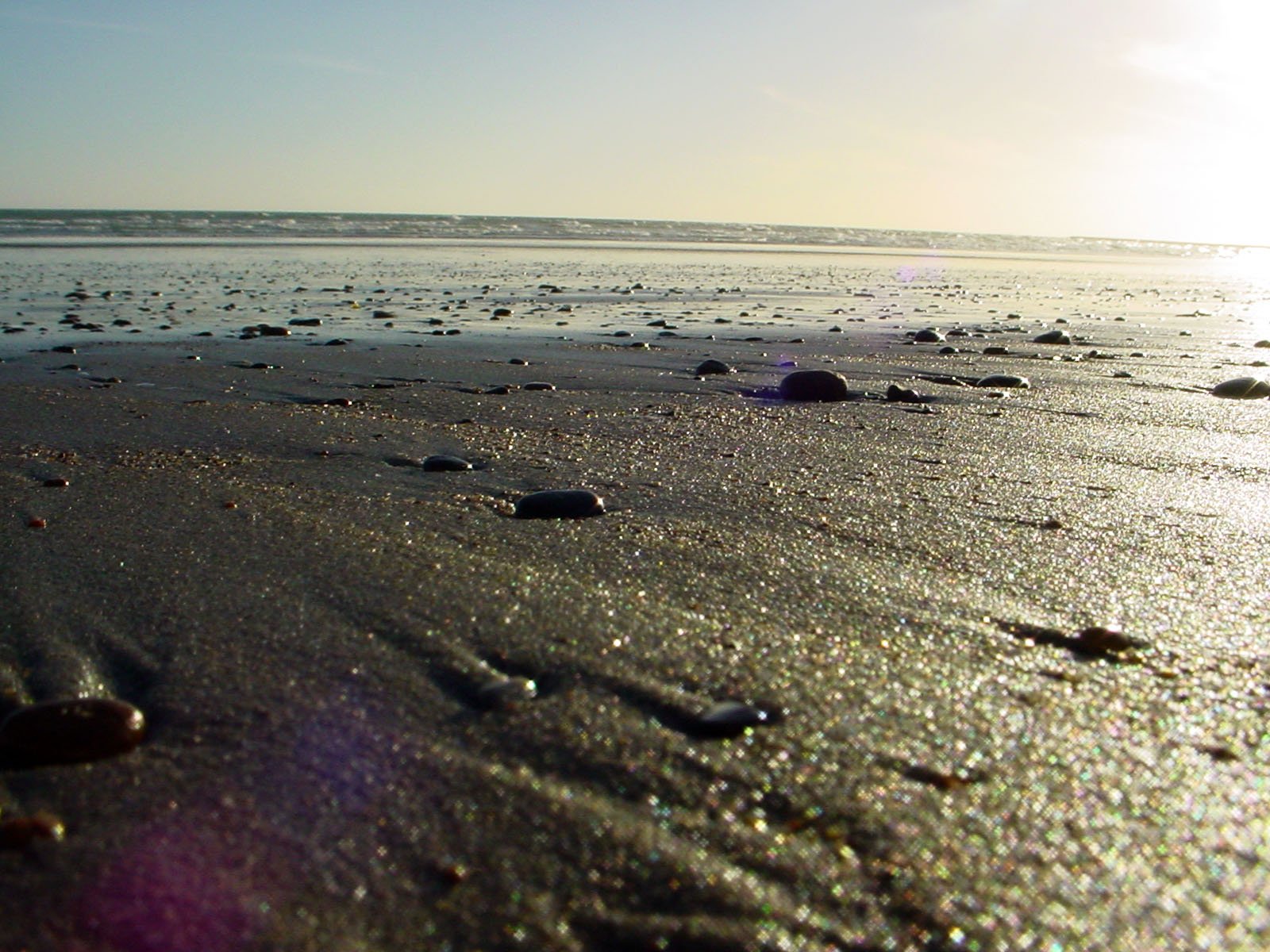 the sunlight shining on the beach with many rocks