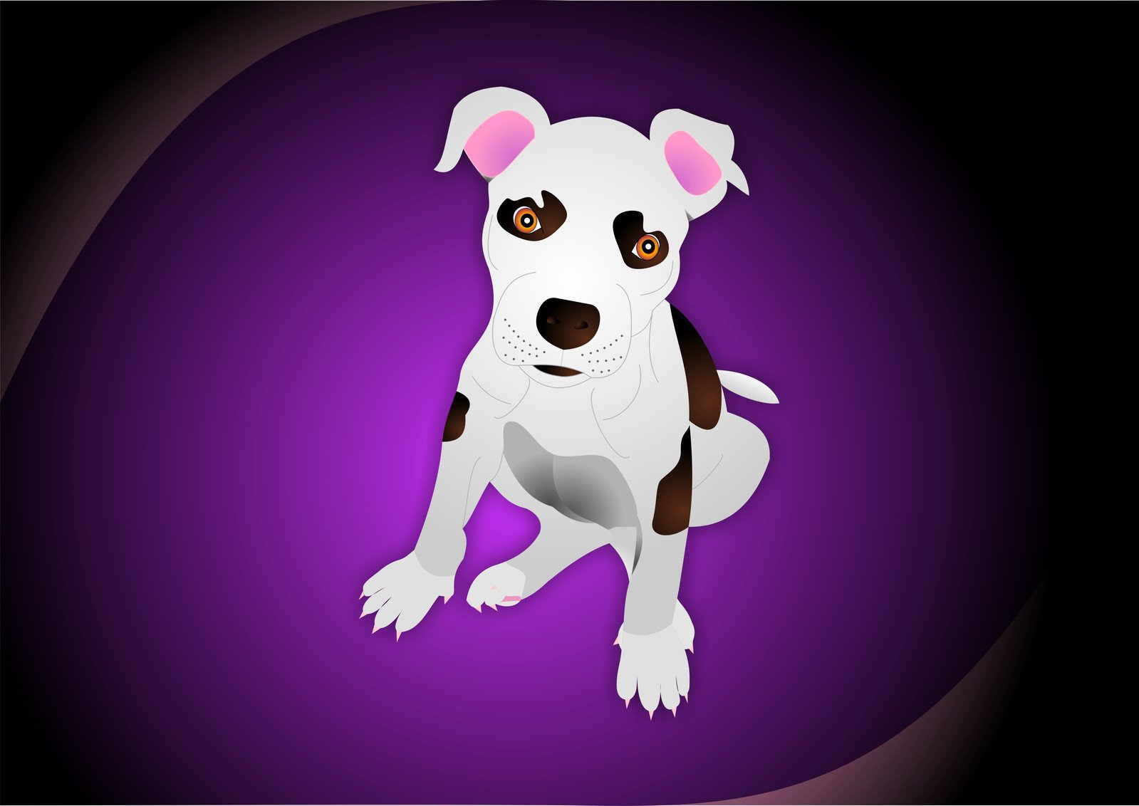 a dog sitting in front of a purple background