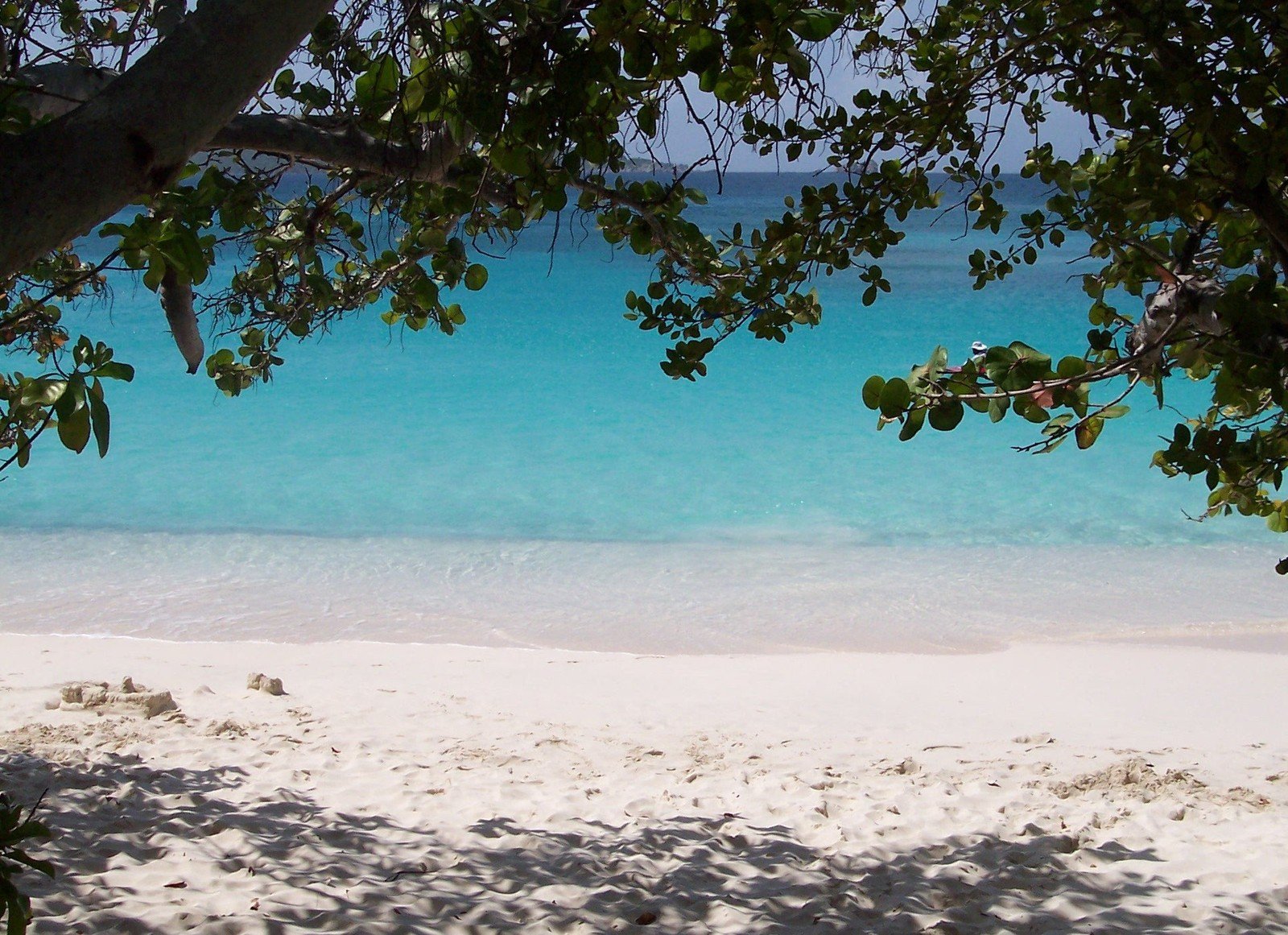 the water is crystal blue and clear on the beach