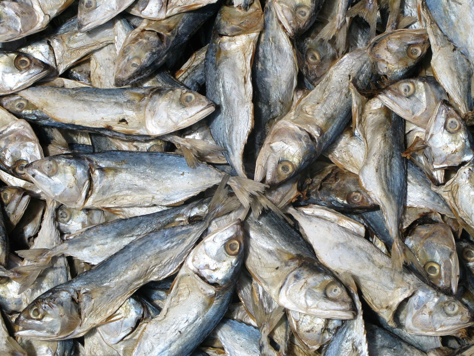 an image of a pile of fish on the market floor
