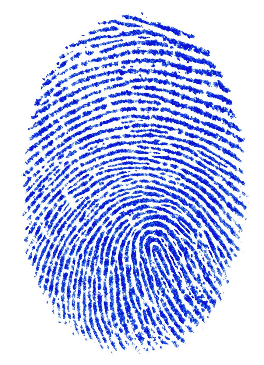 a fingerprint that is made up of blue strokes