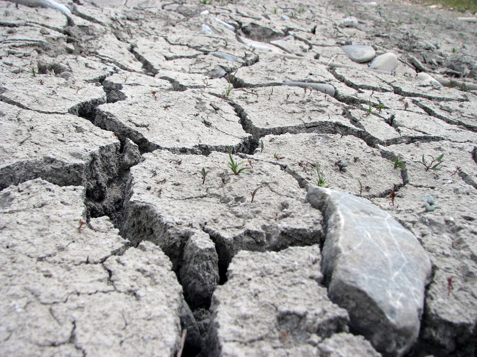 ed asphalt that has been left over and weeds growing on it