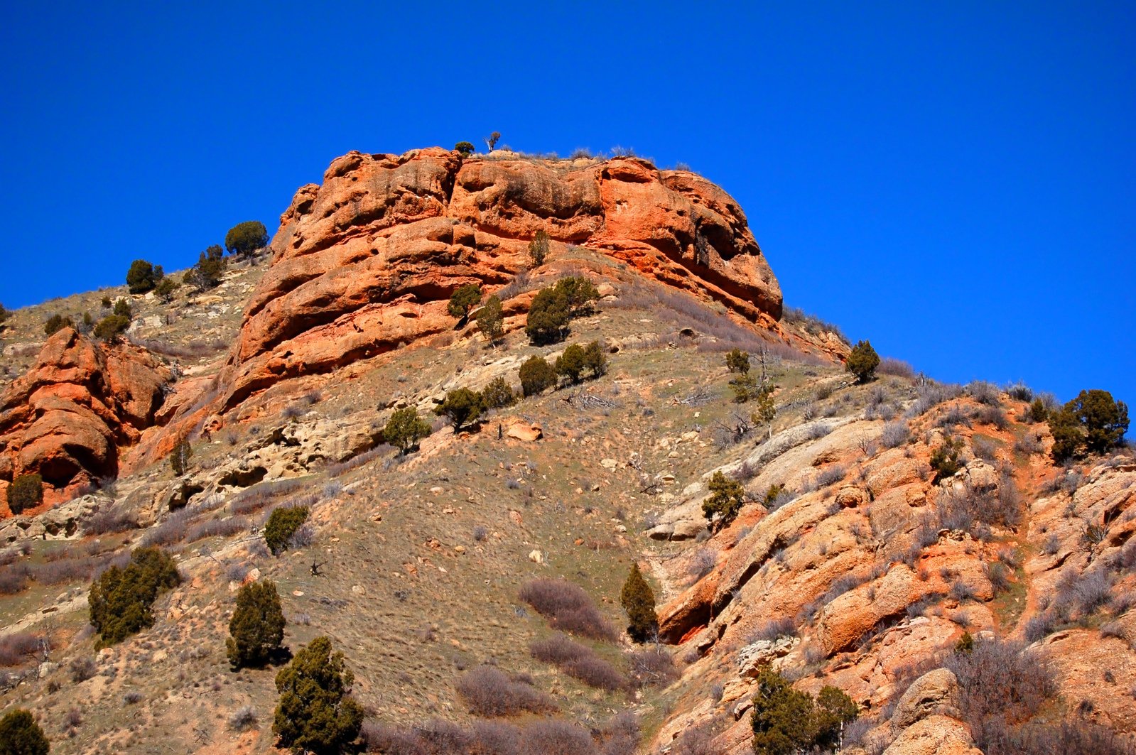 red rocks in the distance, with a green forest on each side