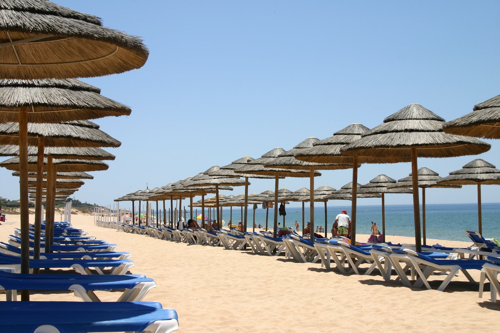 many umbrellas are lined up on a sandy beach