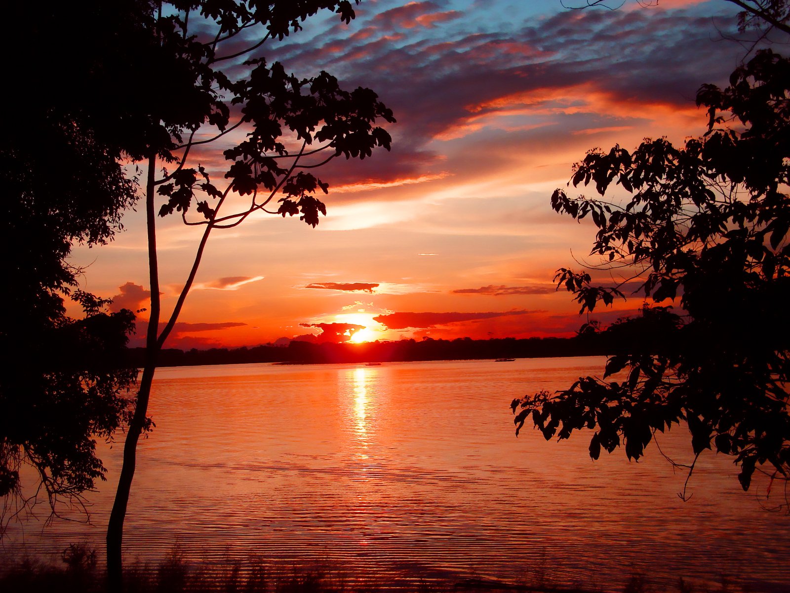 sunset view of clouds and tree on water surface