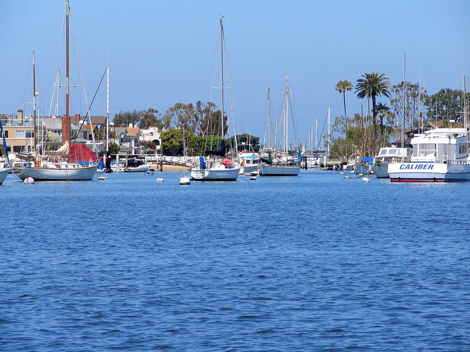 there are many sailboats docked on the water