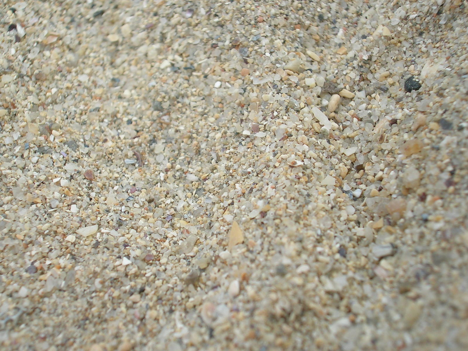 a close up view of a sand texture with various small pebbles