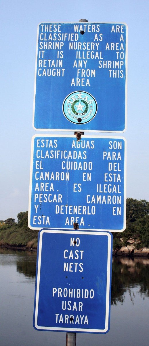 a series of blue signs are posted in front of the water