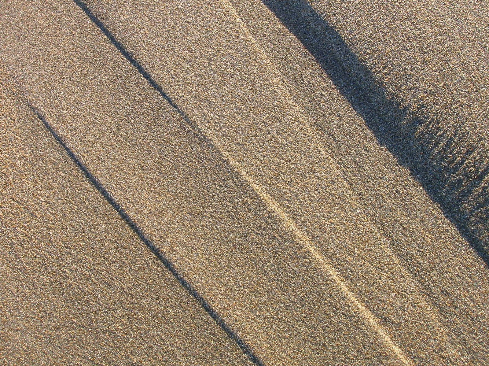 a person on the beach holding onto a surf board