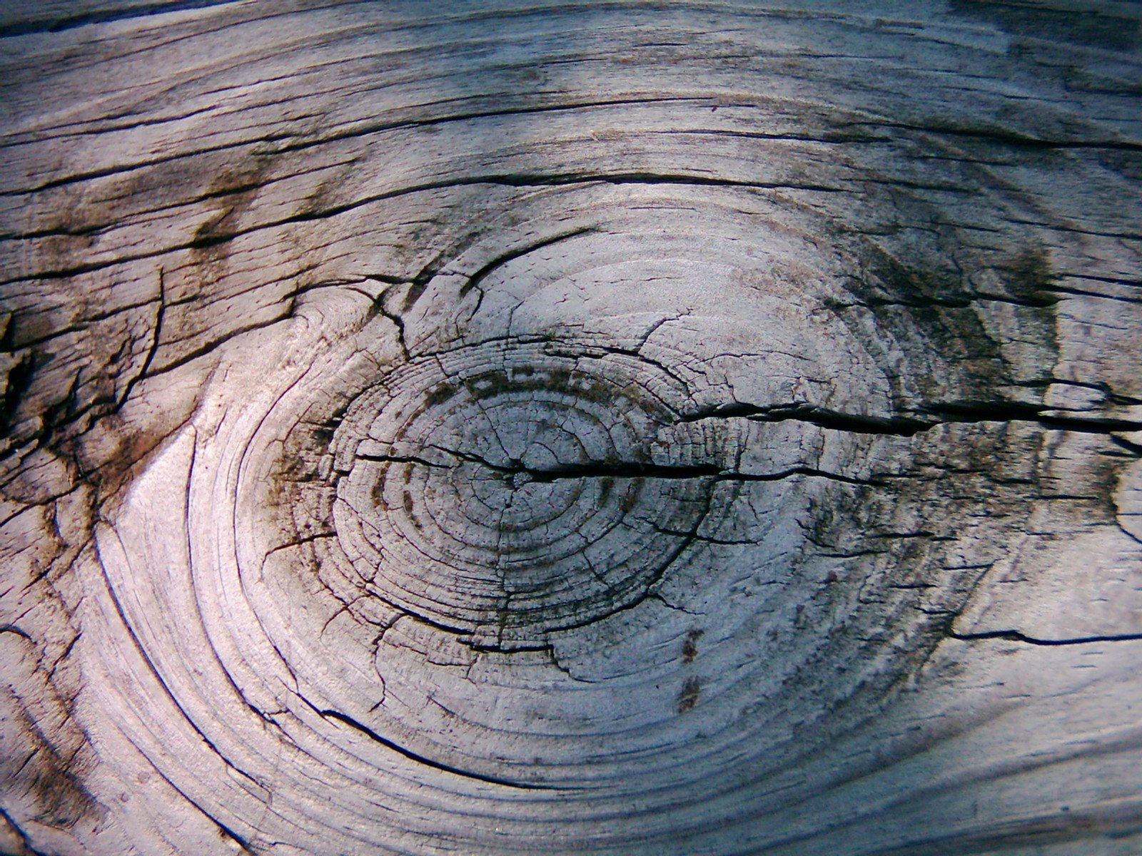 a close up s of a wood pattern