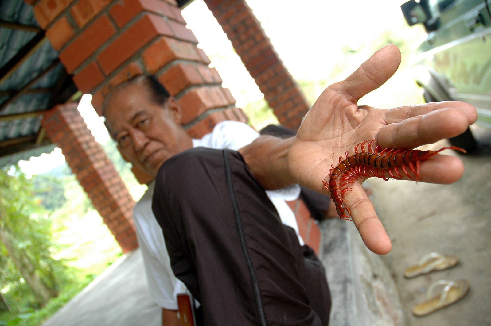 a man holding up a small red insect