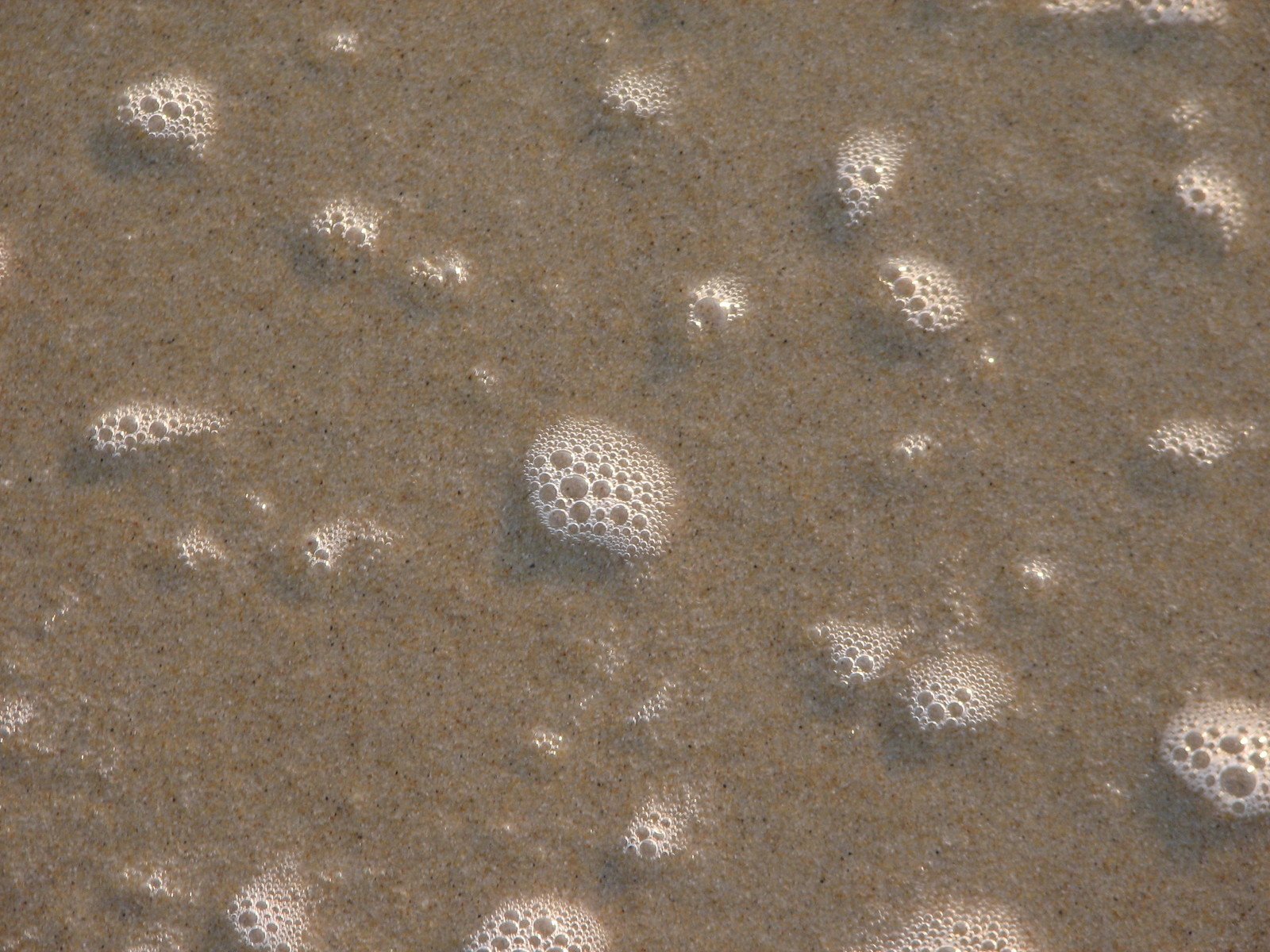 the view of some small bubbles in the sand