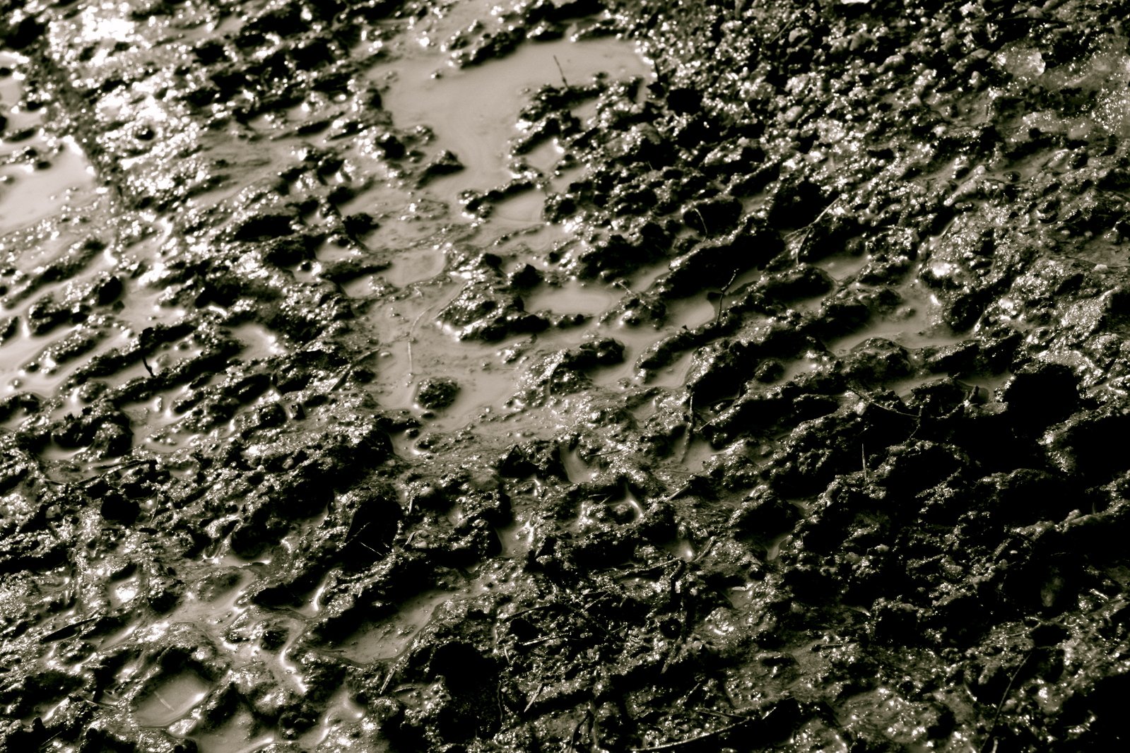black and white pograph of textured paint and water
