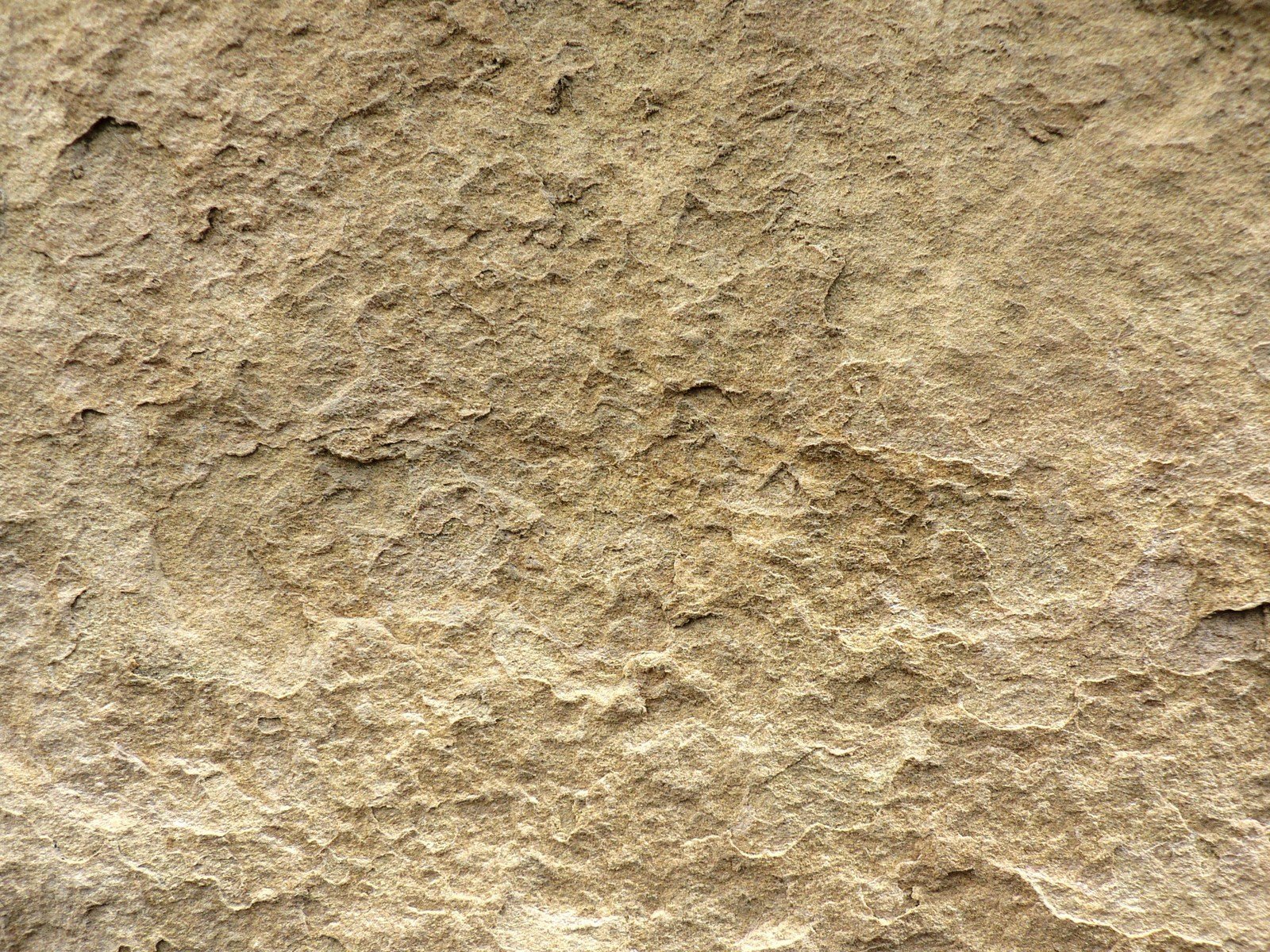 a brown background with tiny bumps of dirt