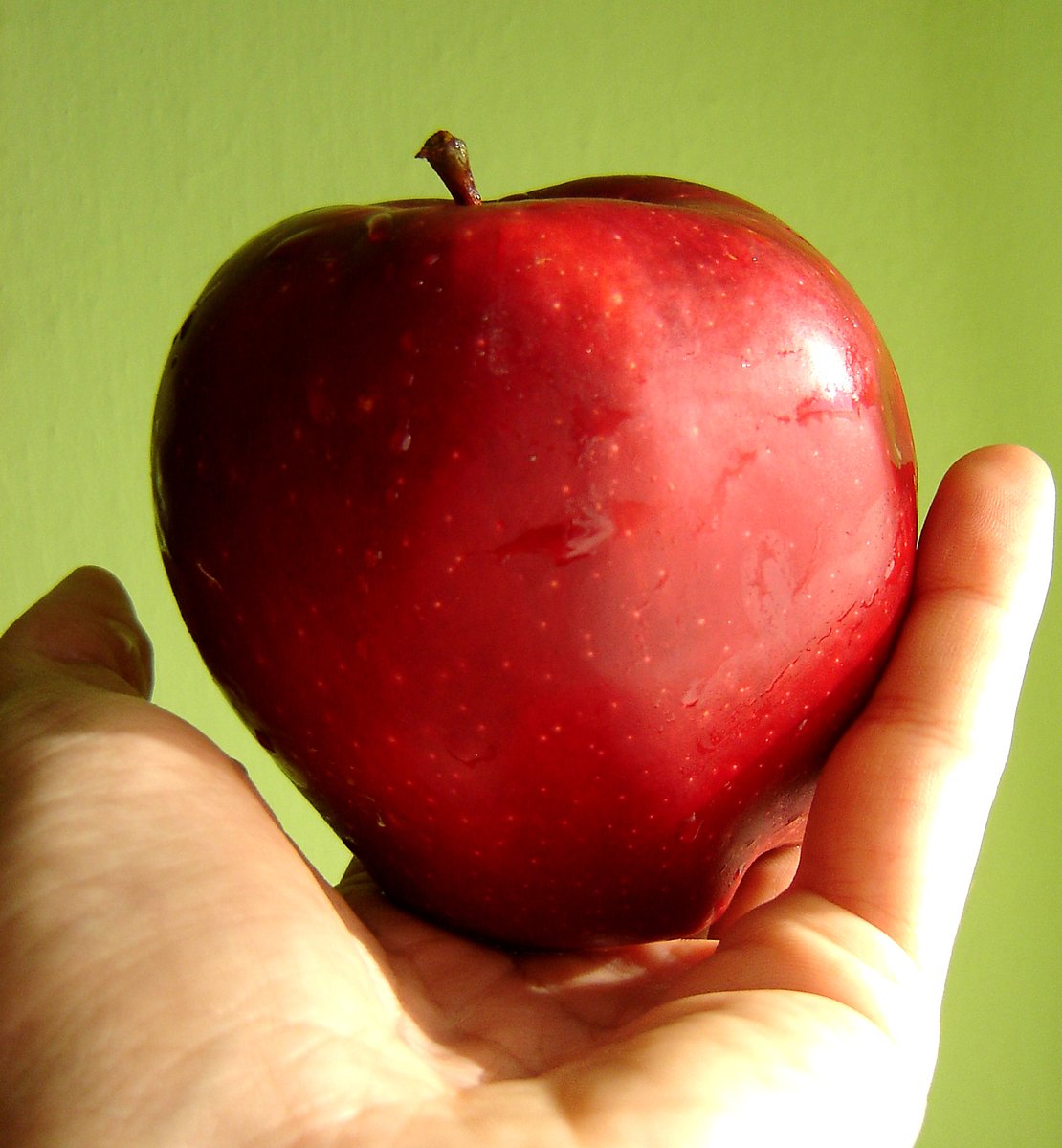 an apple sitting on top of a persons hand