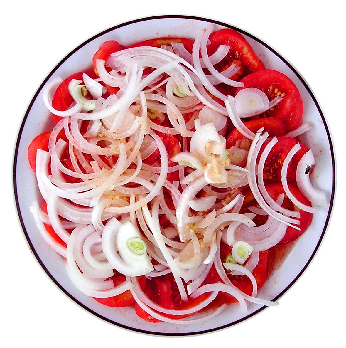 sliced onions, tomatos, and other veggies are piled on a plate