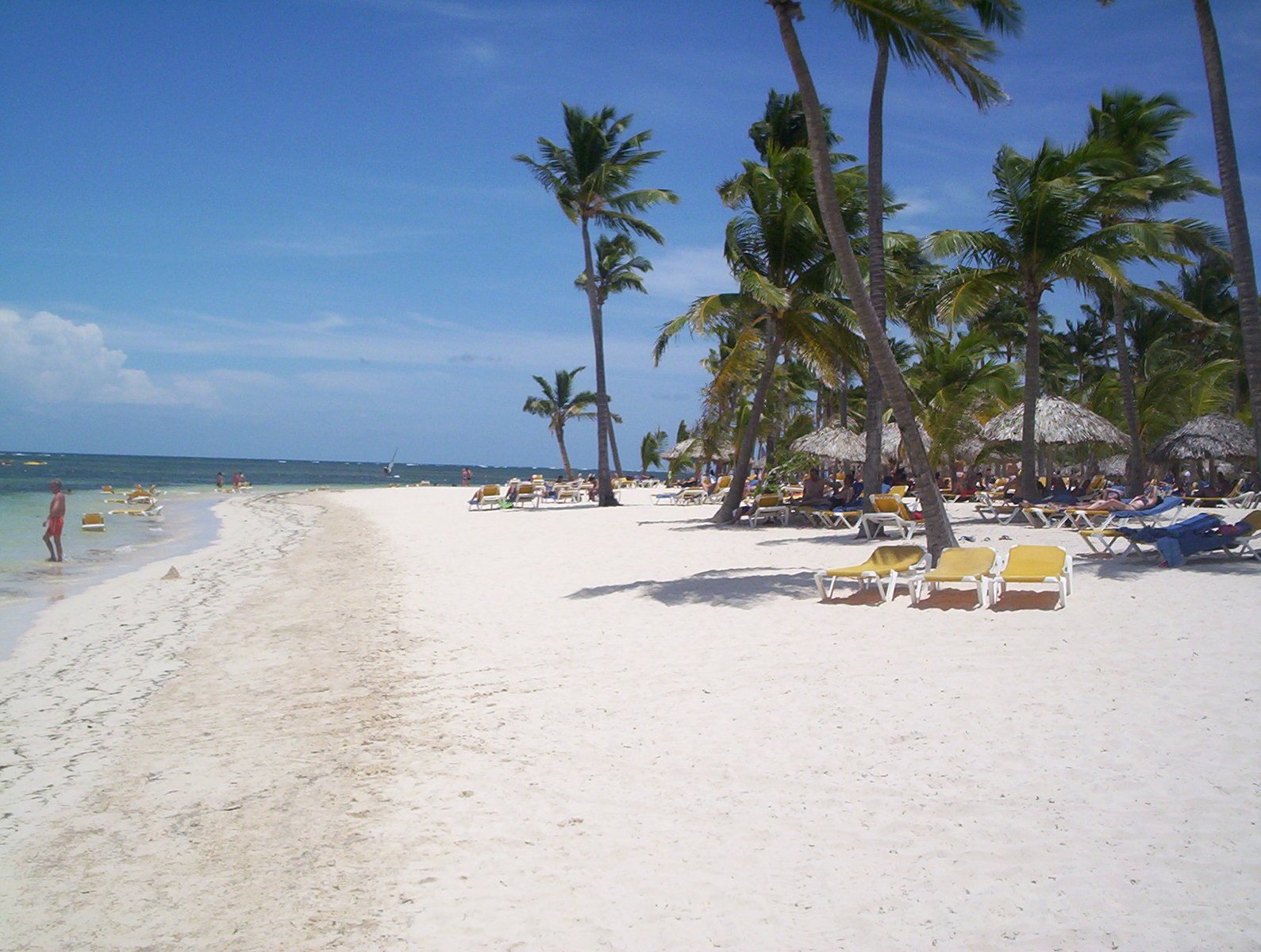 a beautiful beach with lots of palm trees and chairs