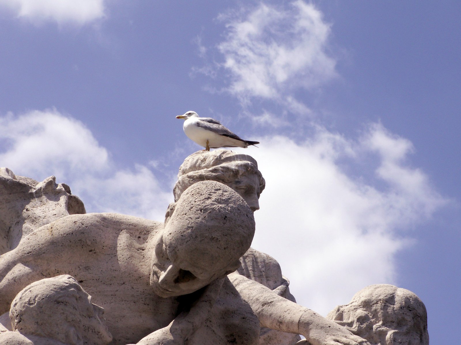 a seagull is perched on the head of a lion statue