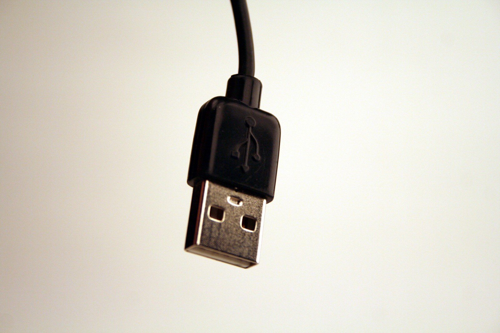 a close up s of an usb attached to a cable