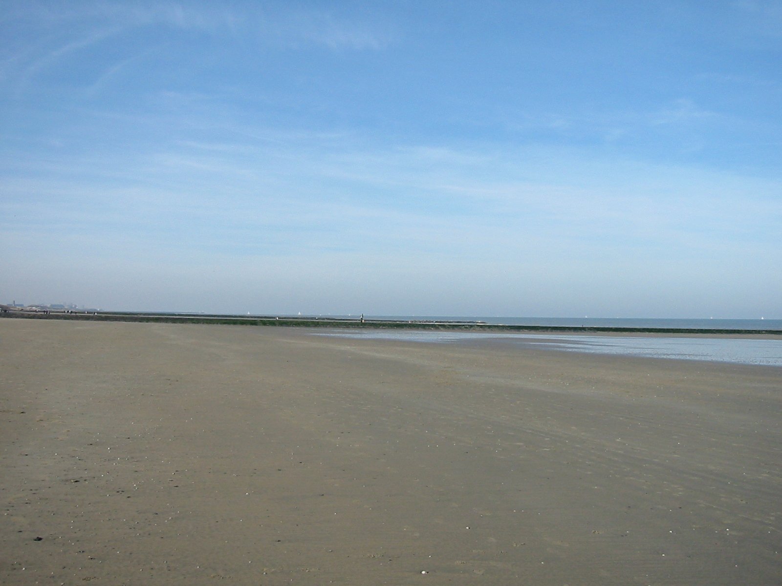 a person standing on a beach near the ocean