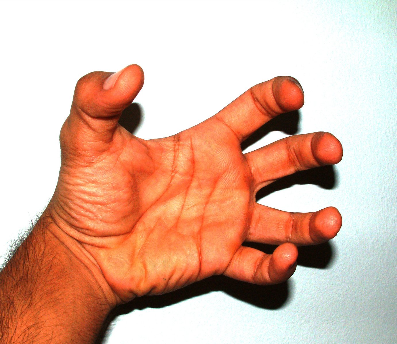 hand reaching out toward a white background with the fingers out