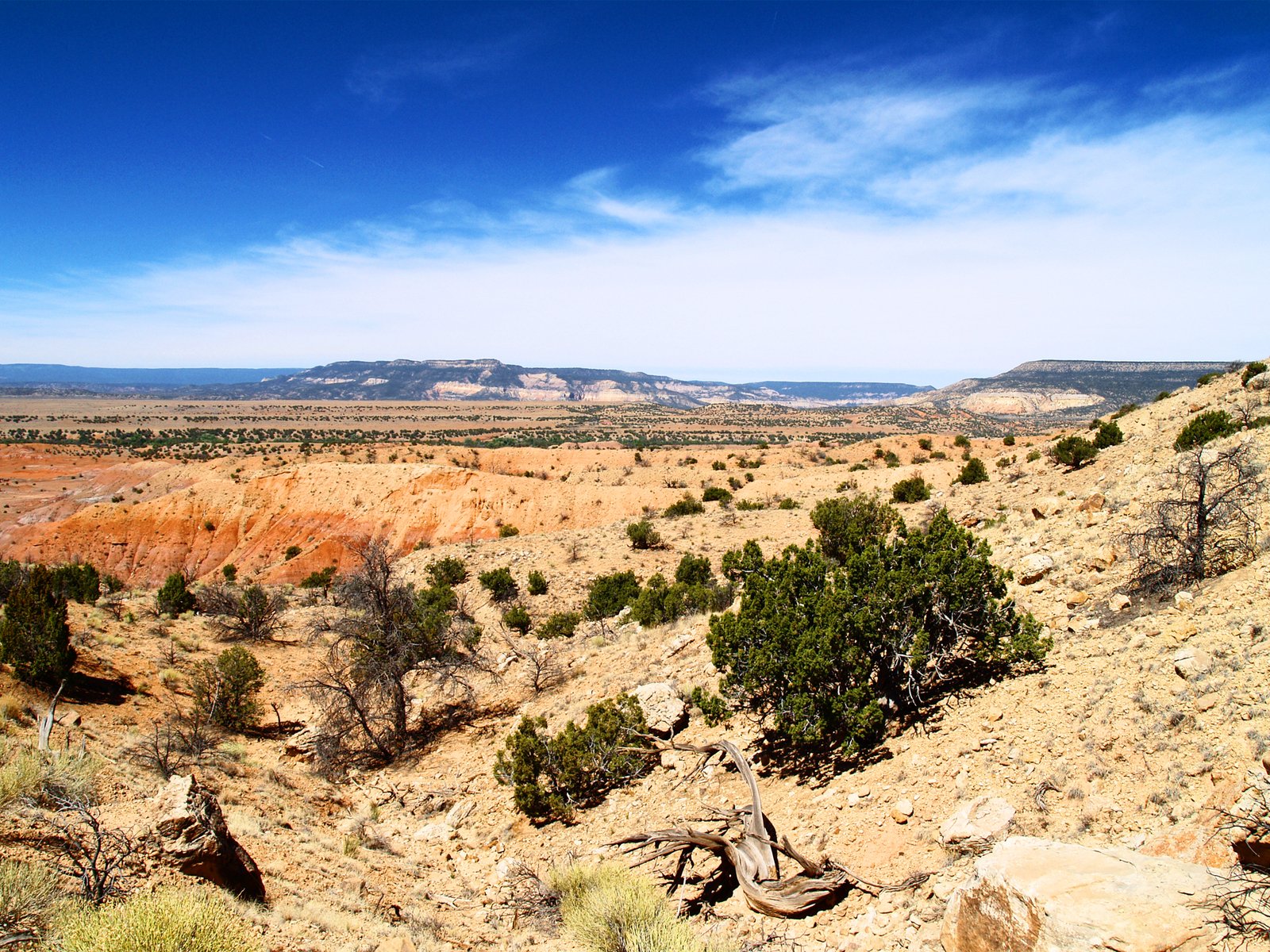 the landscape of a desert area features red, yellow and green colored clay hills