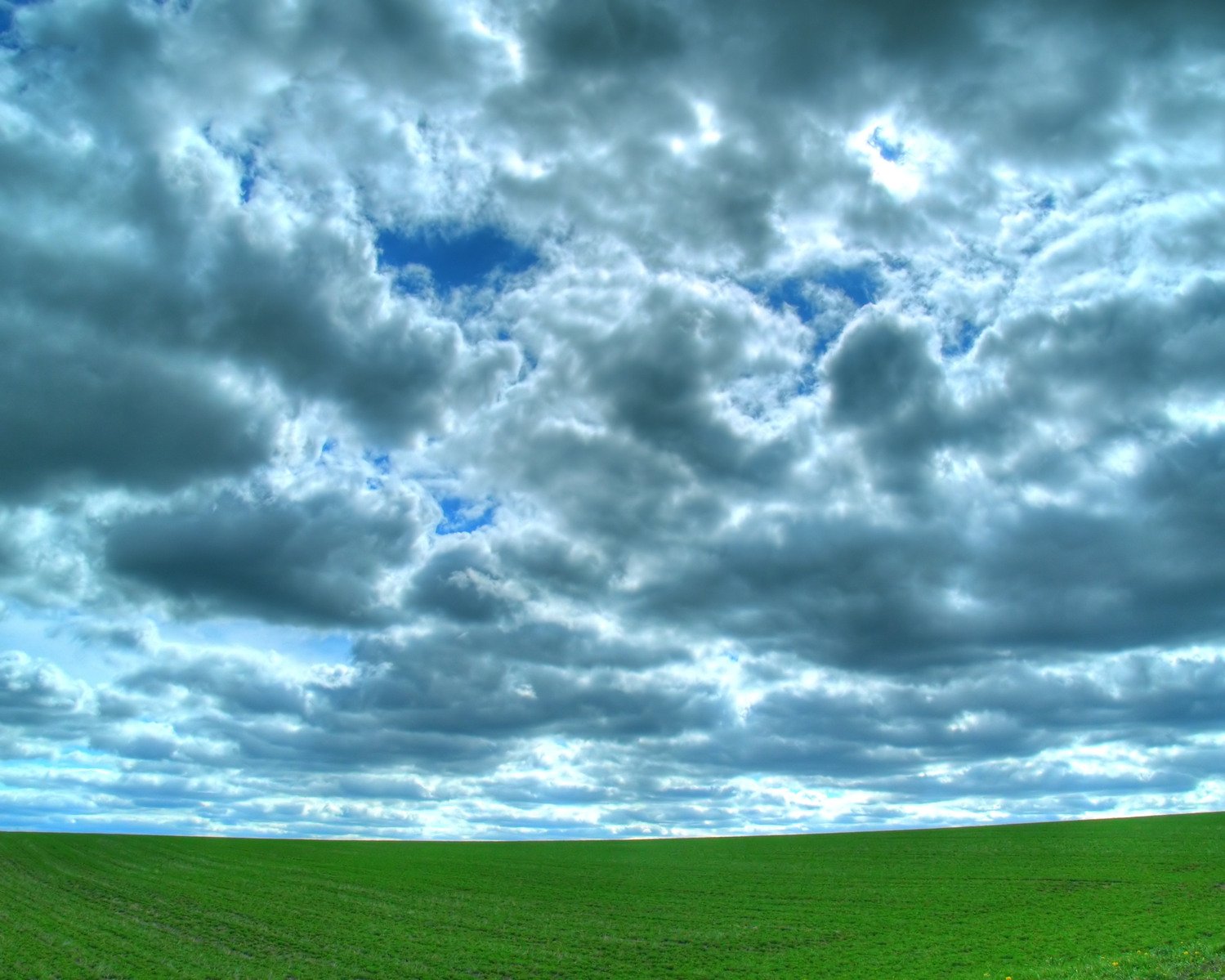 there is a field with tall grass under a cloudy sky