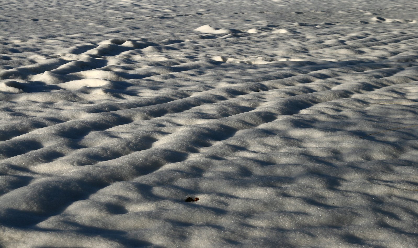 footprints in the snow as they travel along a trail