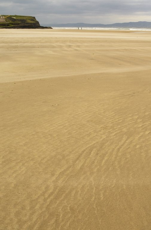 some white birds are on the beach by themselves