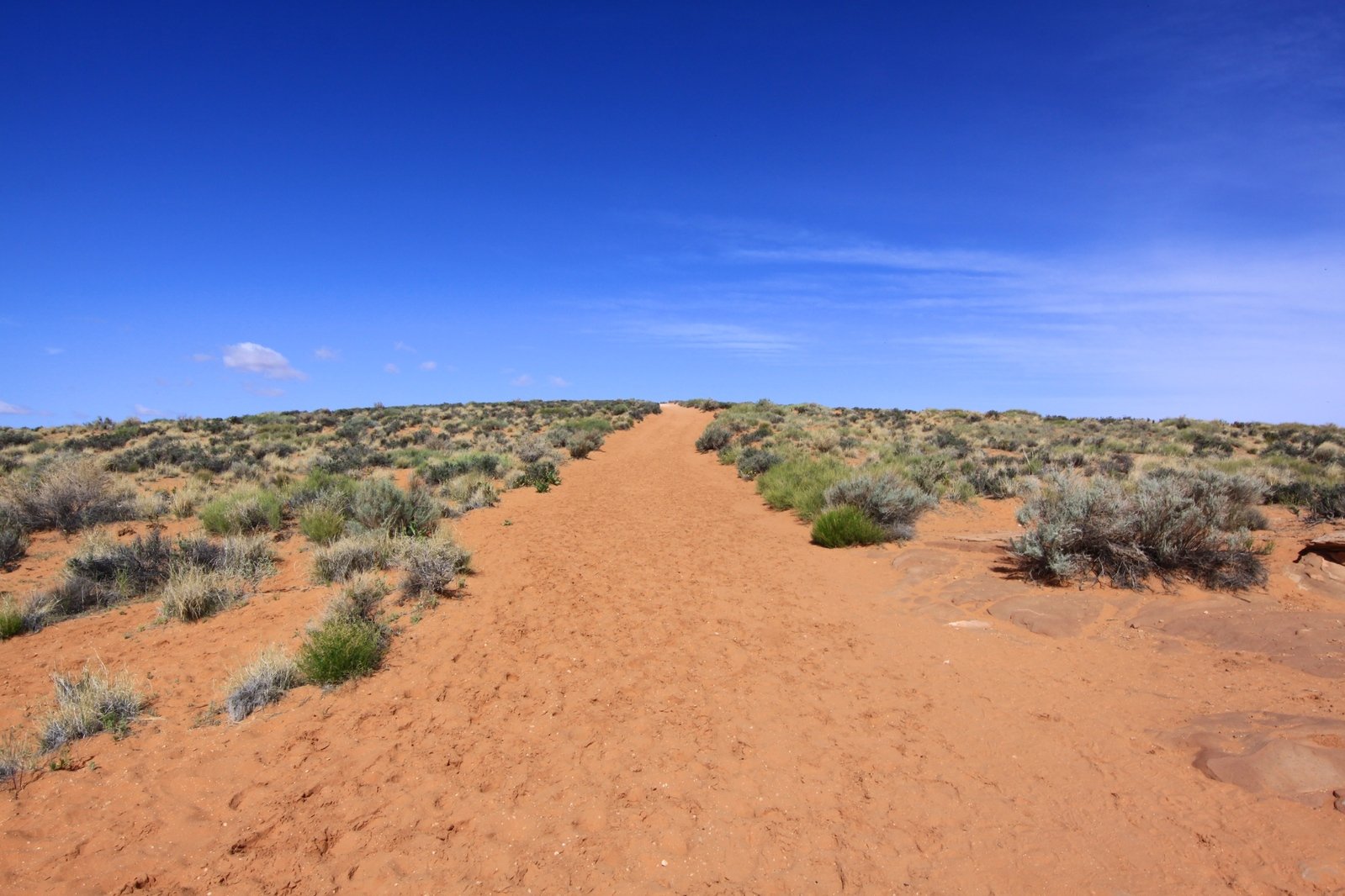 dirt road leading into the distance near many bushes