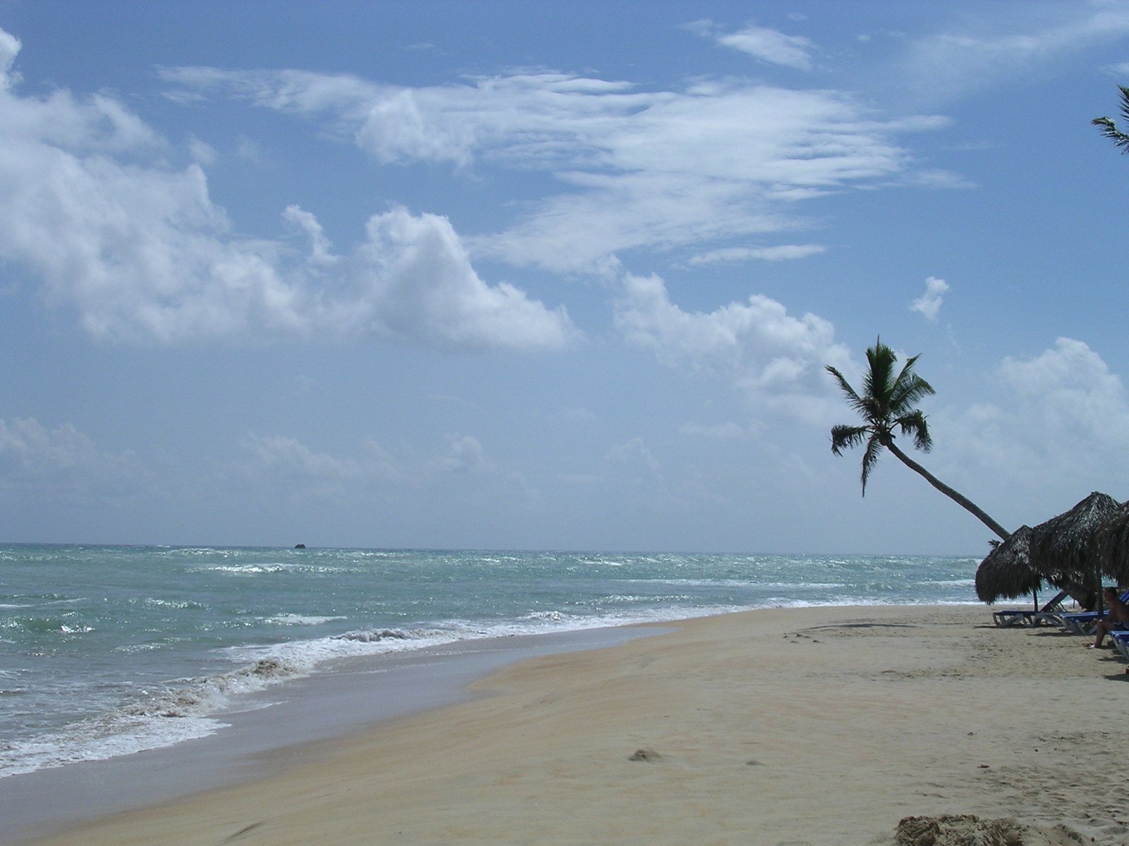 several lounge chairs are sitting under two palm trees near the water