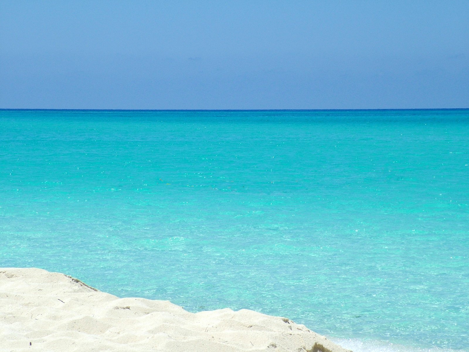 a lone surfboard that is laying on some sand