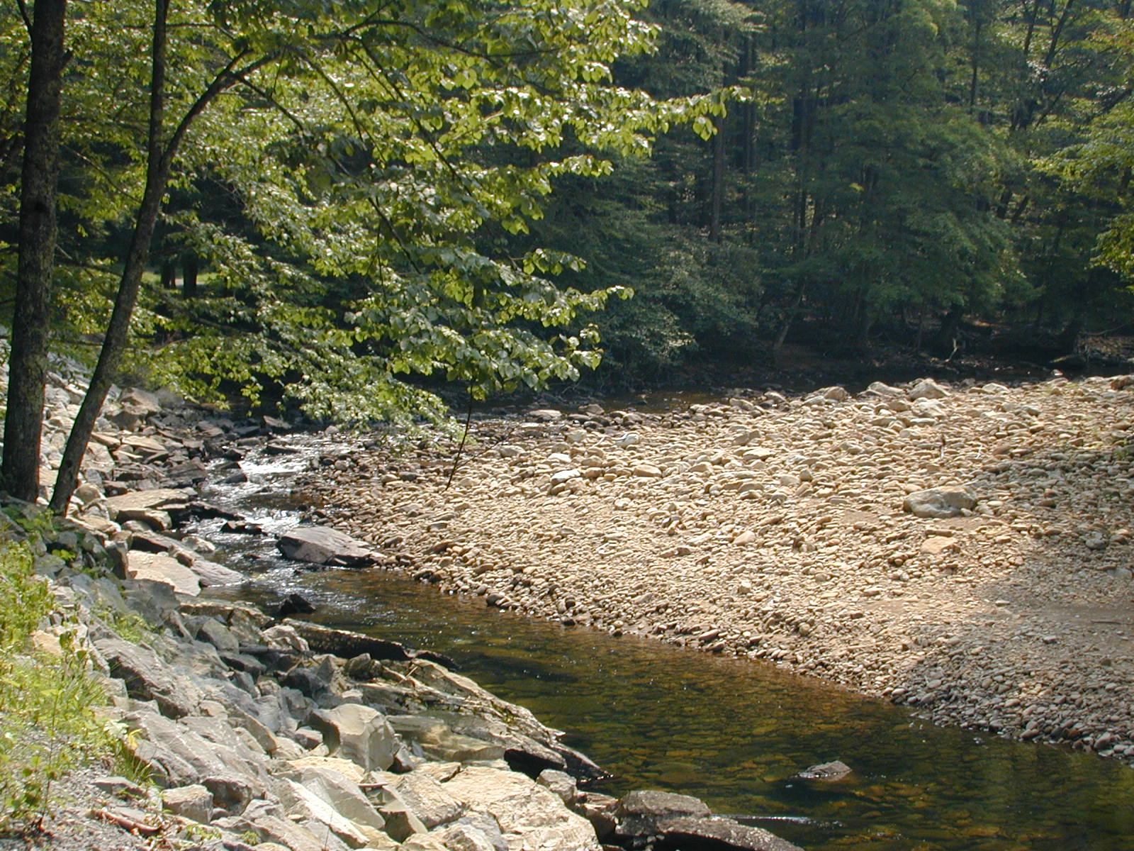 a stream with rocks and trees near by