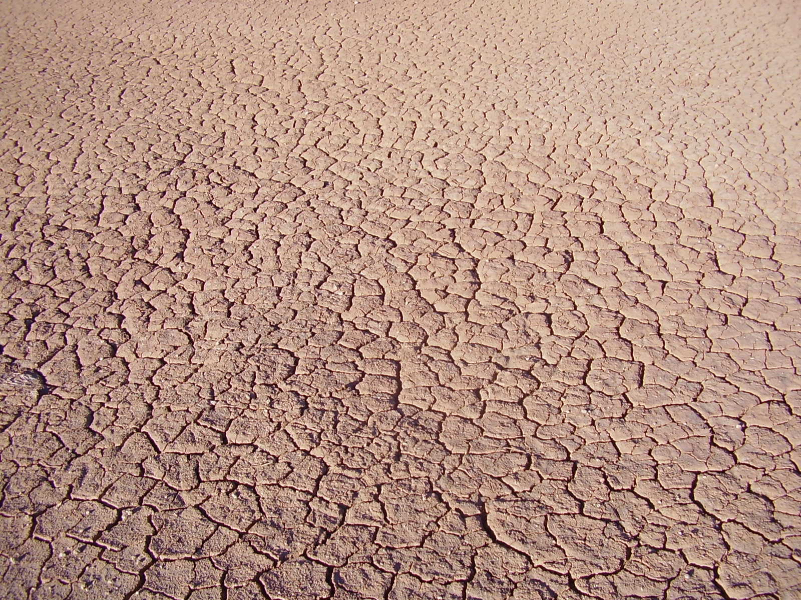 a desert landscape with a very large amount of dry grass