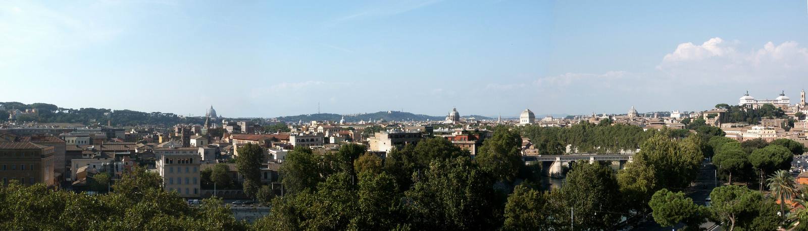 trees line the foreground of this scenic city