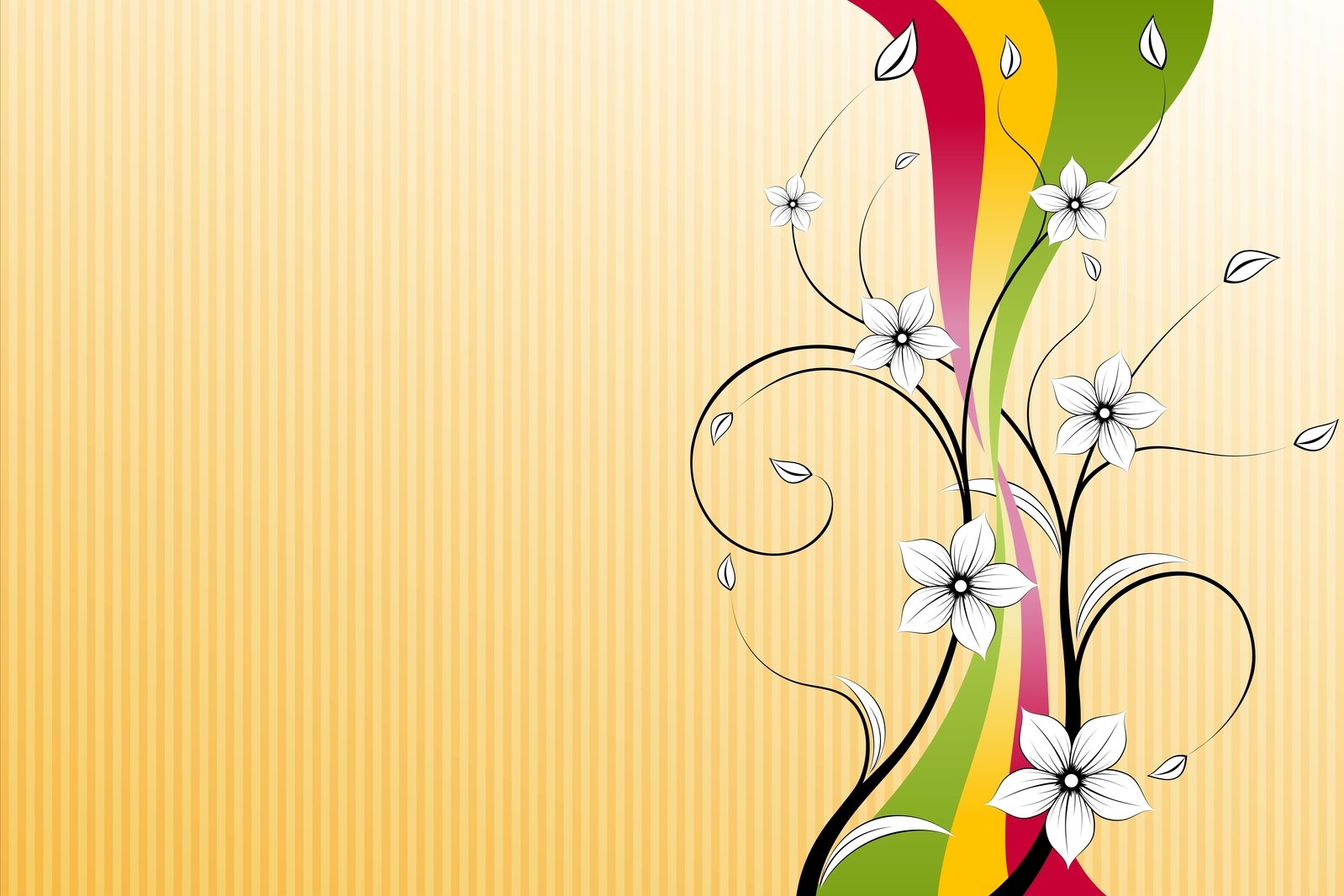 an artistic wallpaper with flowers and a rainbow stripe