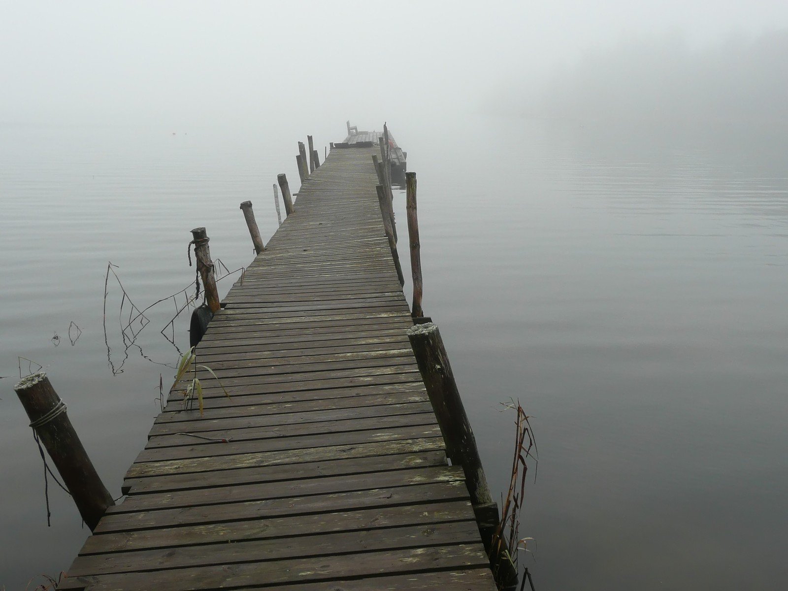 dock that looks like it's in the fog