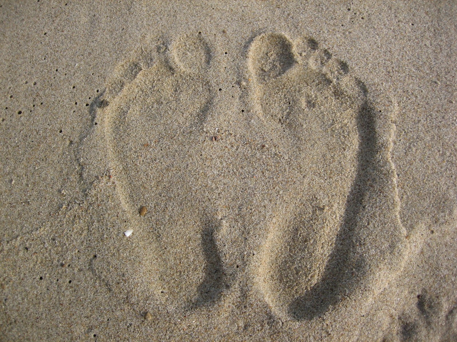 the footprints of two people on a beach