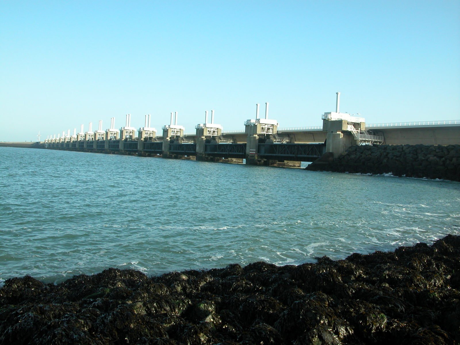 a body of water with lots of buildings near by